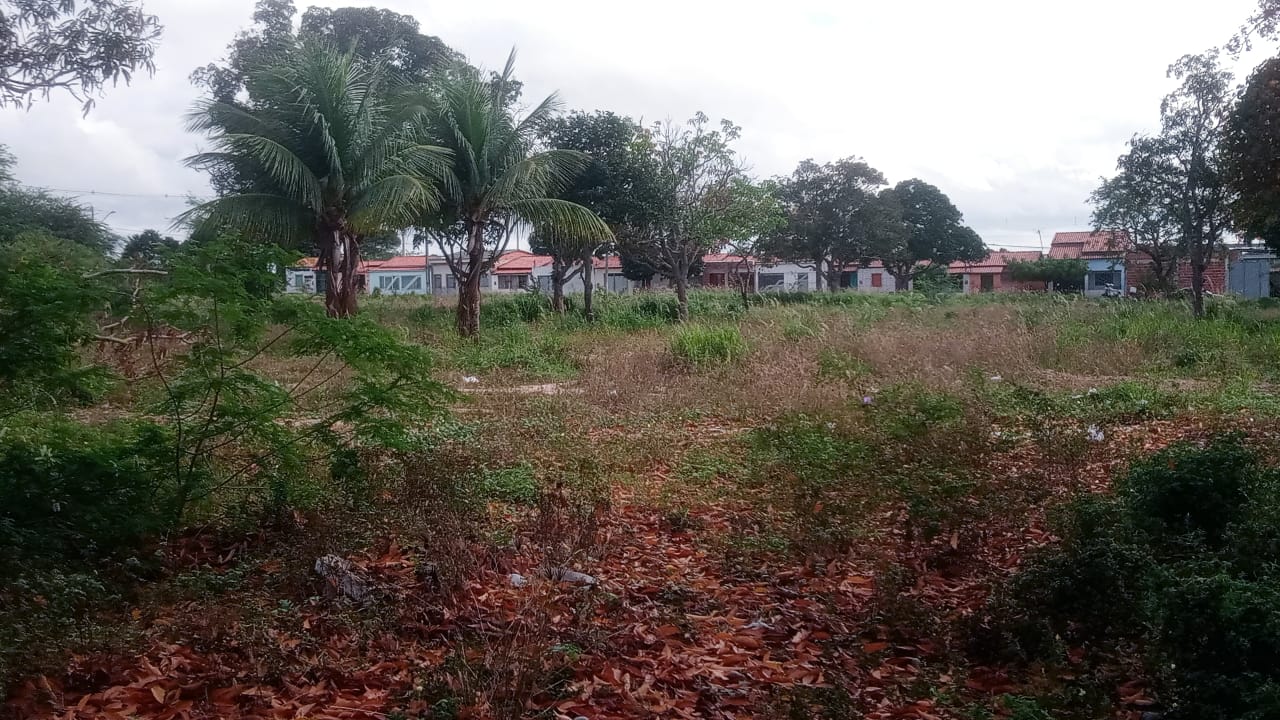 Moradores do Bairro Jardim Araújo pedem limpeza no terreno do antigo clube AACC